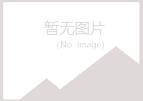 安国山柳会计有限公司